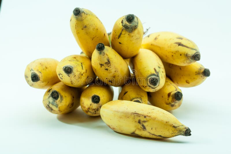 Bunch of Yellow Small Banana Fruit Stock Image Image of bananasfruit