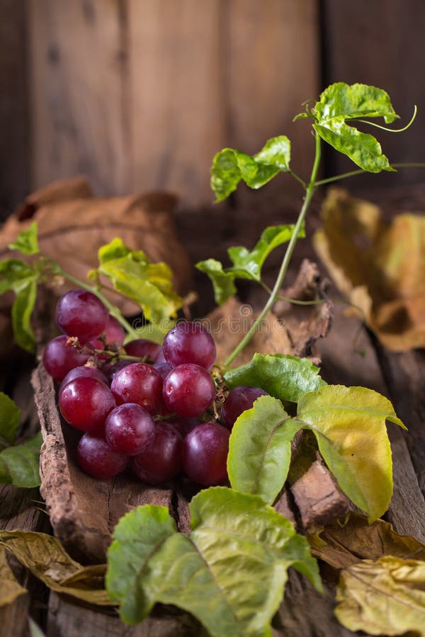 Bunches of fresh ripe red grapes on a wooden textural background royalty free stock images