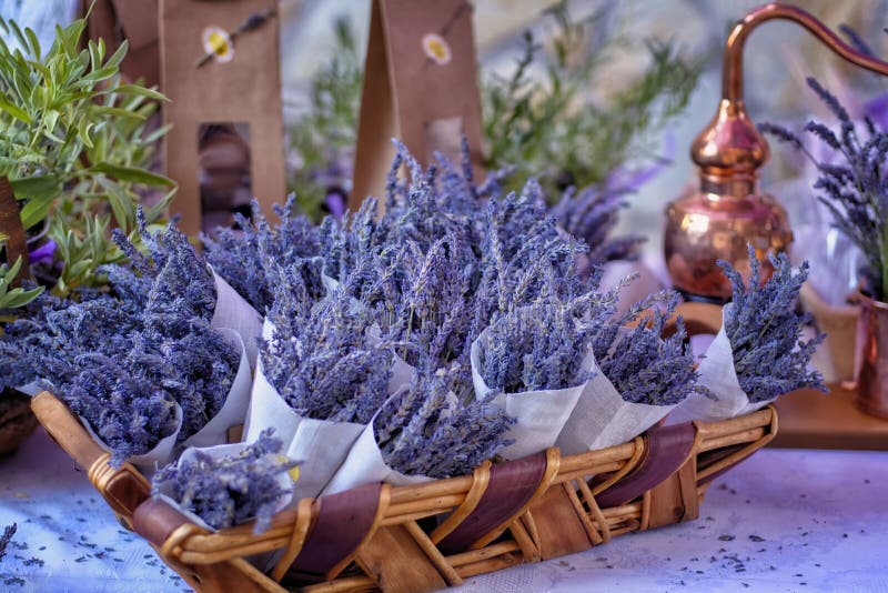 Bunches of lavender flowers in white cloth cones on a wicker basket and a perfume distilling machine