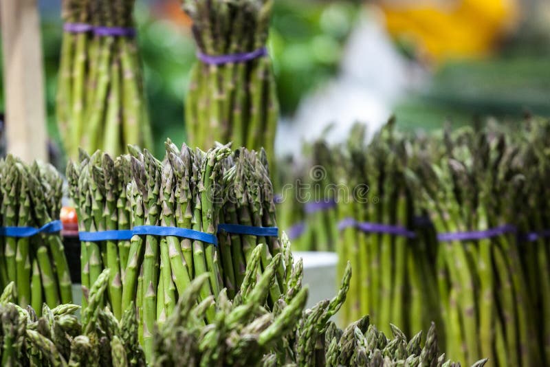 Bundels van groene die asperge, voor verkoop op een Canadese markt in Montreal worden gecultiveerd stock foto Bundels van groene die asperge, voor verkoop op een Canadese markt in Montreal worden gecultiveerd stock foto