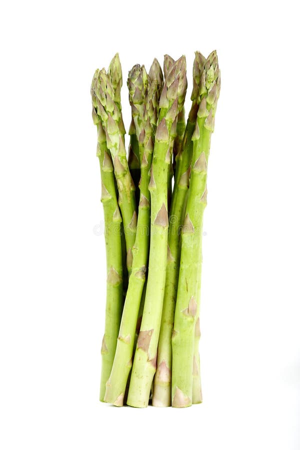 Bundle of asparagus