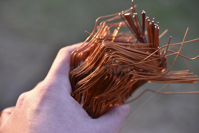 A Bundle of Copper Wire in His Hand. Copper Scrap Stock Photo Image