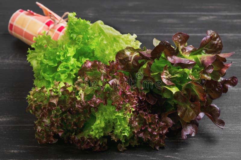 Bundle of Fresh Leaves Green and Red Lettuce Stock Photo - Image of ...