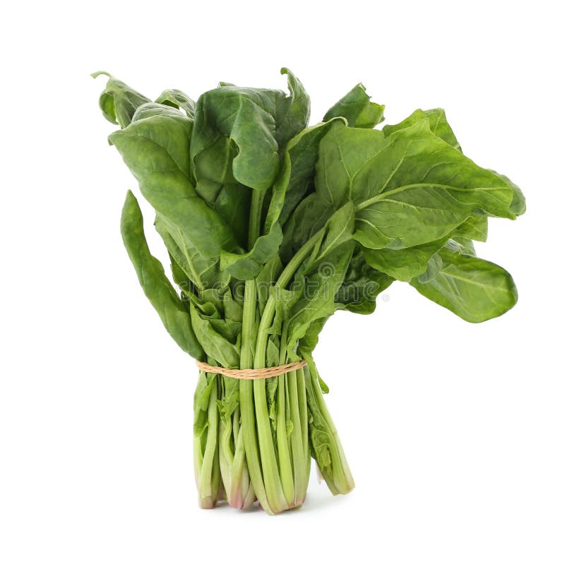 1,239 Spinach Bundle Stock Photos Free & RoyaltyFree Stock Photos