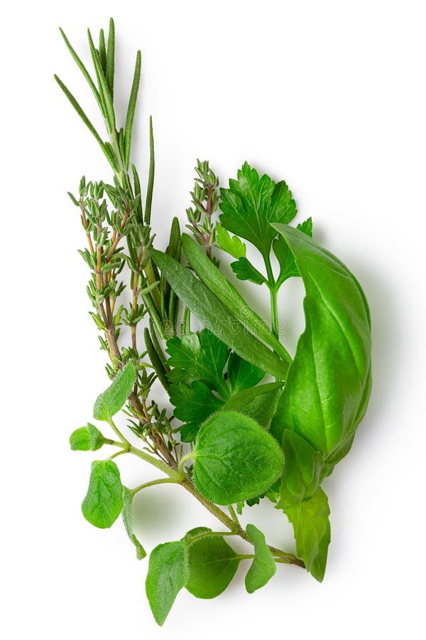 Bundle of freshly picked provence herbs isolated on white from above. Oregano, basil, thyme, rosemary.