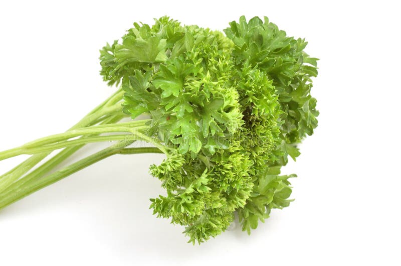 Bundle Of Parsley Stock Photography