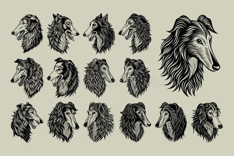 Bundle of Side View Drawing Borzoi Dog Head Design Vector Stock Vector