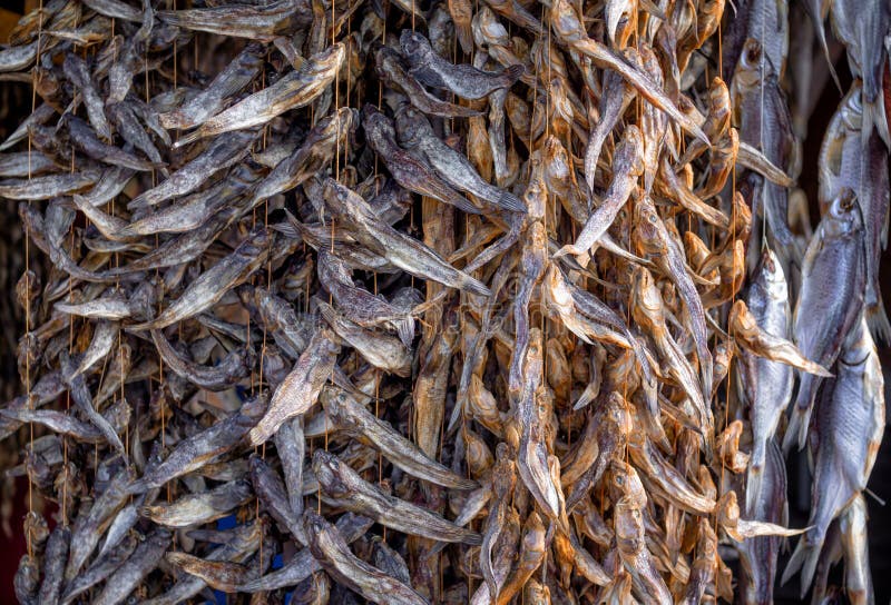 Bundles of dried salted goby or bullhead fish for sale at outdoors seafood market