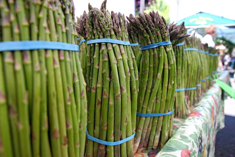 Bundles of Farm Fresh Asparagus Stock Photo Image of orange, natural