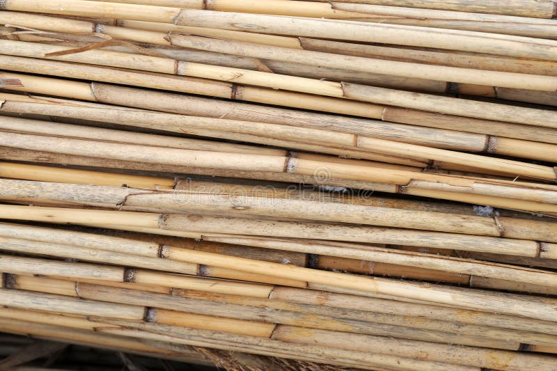 Bundles of reed stock photo. Image of scene, material 38565806
