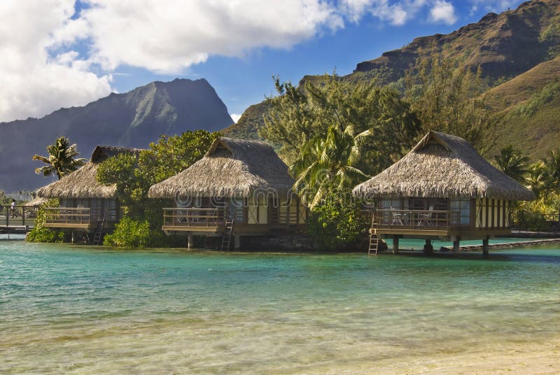 Bungalows on tropical island of Moorea