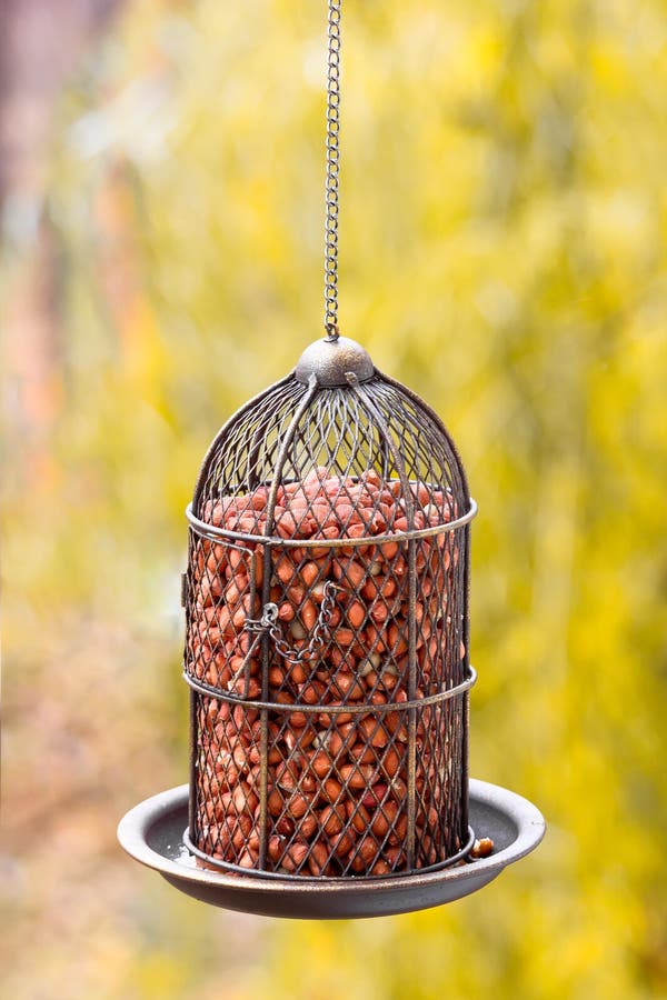 Peanut Bunker Stock Photos Free & RoyaltyFree Stock Photos from