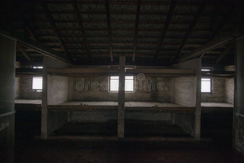 Bunks of Prisoners in the Barracks of the Concentration Camp. a