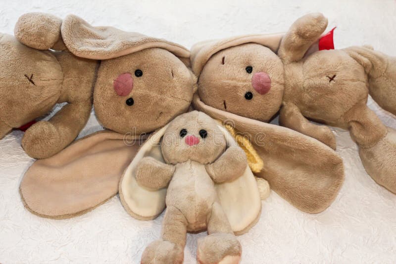 Bunnies on a white background. Plush rabbit toy