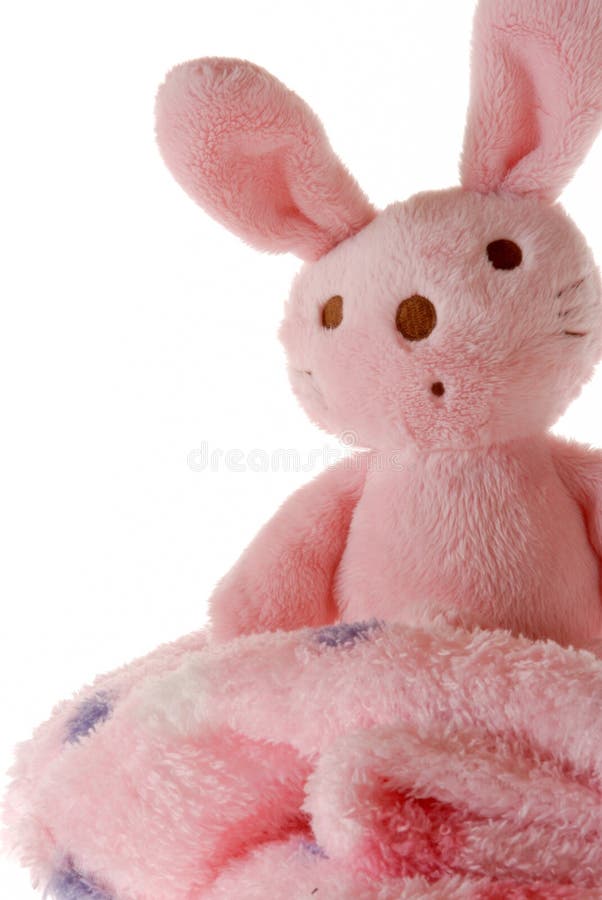 Bunny on a blanket.