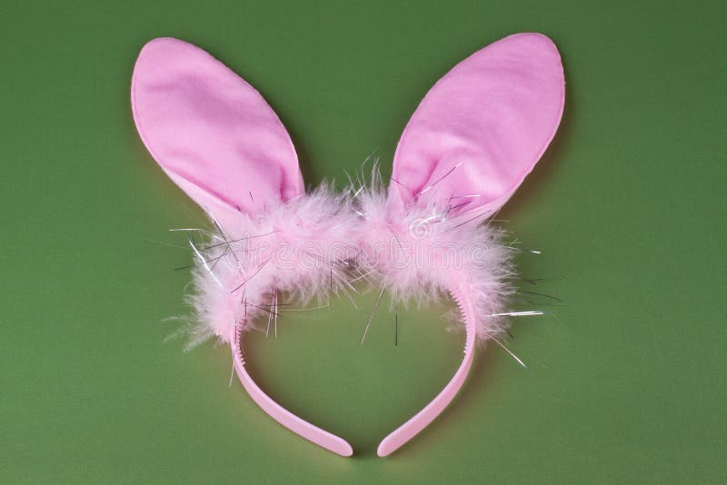 Easter Pink Bunny Ears Isolated on White Stock Image Image of