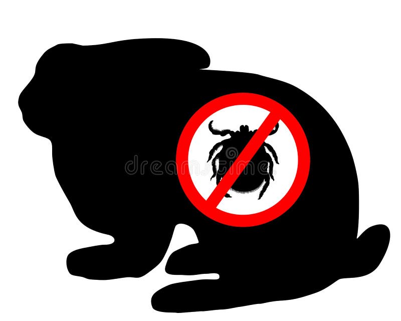 Download Bunny tick prohibited stock vector. Illustration of illustration - 20102210