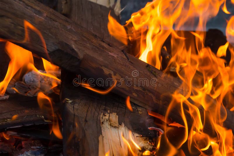 Bunt av vedträ höga tungor för en ljus flamma av den orange brandbakgrundspicknicken som lagar mat på en brand fotografering för bildbyråer Bunt av vedträ höga tungor för en ljus flamma av den orange brandbakgrundspicknicken som lagar mat på en brand fotografering för bildbyråer