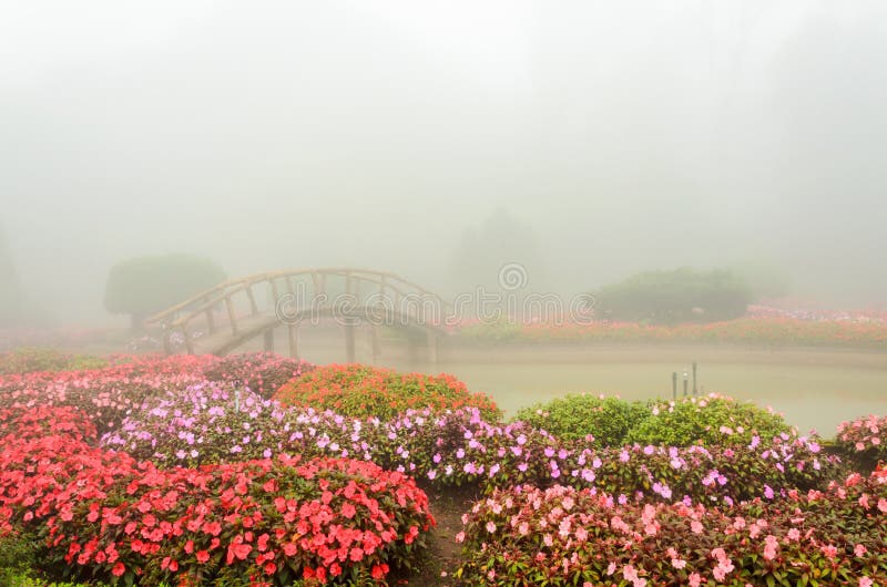 Bunte Blumen- und Holzbrücke im schönen Garten mit Regen nebeln ein lizenzfreies stockbild Bunte Blumen- und Holzbrücke im schönen Garten mit Regen nebeln ein lizenzfreies stockbild