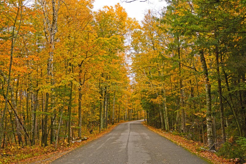 Bunte Landstraße im Fall lizenzfreies stockbild Bunte Landstraße im Fall lizenzfreies stockbild
