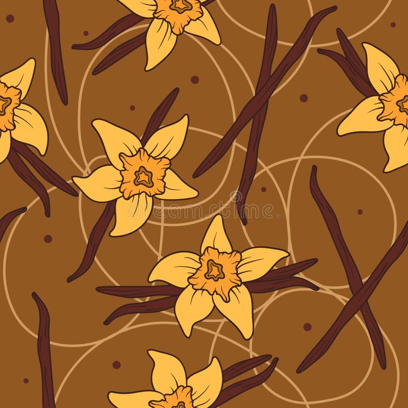 Bunte nahtlose Muster mit Gewürzen : Vanilleblüten. dekorativer Hintergrund