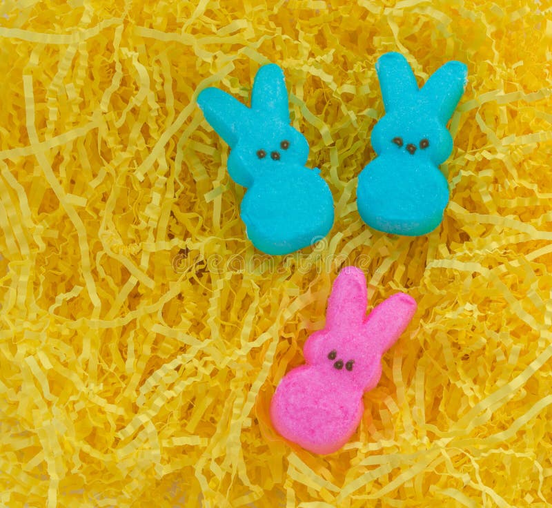 Bunte Ostern-Eibischblicke auf gelbem Ostern-Gras lizenzfreies stockfoto Bunte Ostern-Eibischblicke auf gelbem Ostern-Gras lizenzfreies stockfoto