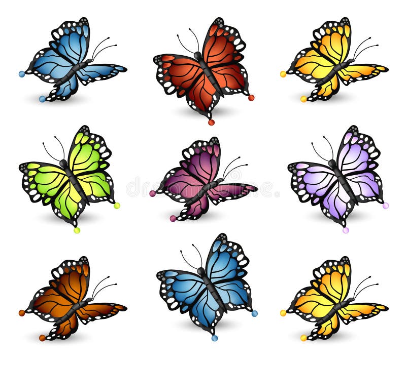 Bunte Schmetterlingssatzsammlung Vektor führte illlustrations einzeln auf