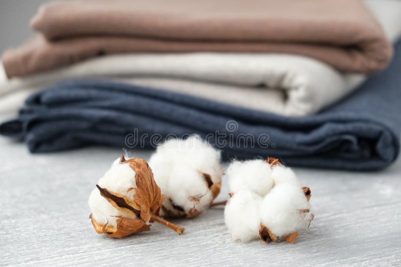 Bunte Strickwaren aus Jersey und natürliche Baumwollblumen stockfotografie