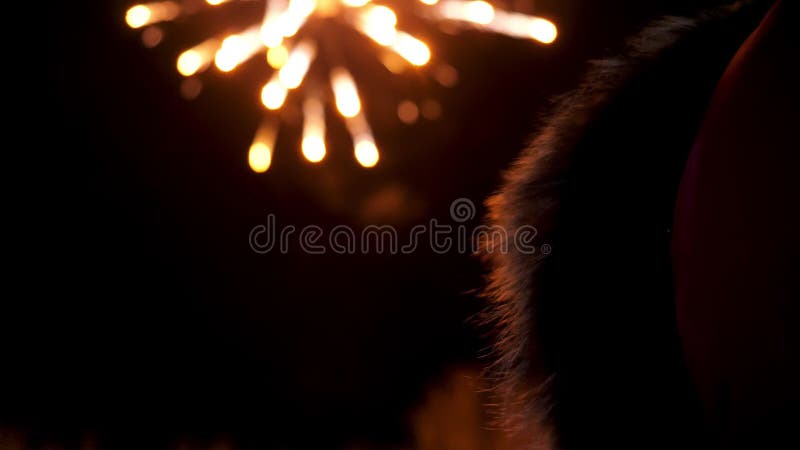 Bunte unscharfe Feuerwerkslichter auf schwarzen Himmelhintergrund. Gesamtlänge auf Lager. Konzept des neuen Jahres und der Weihnac stock video