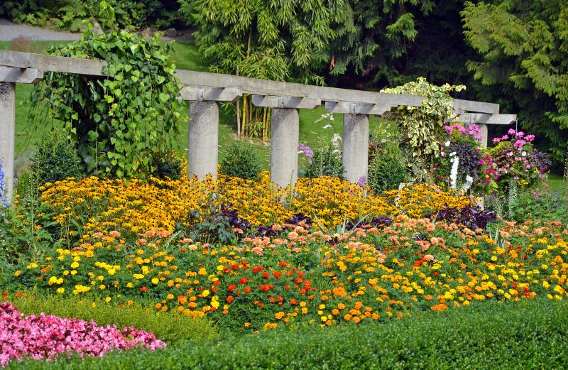 Bunter Botanischer Garten Im Sommer Stockbild Bild von park, blüten