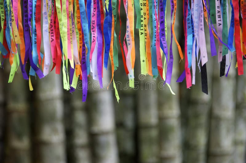 Colorful Brazilian Carnival lembranca wish ribbons against bamboo forest background. Colorful Brazilian Carnival lembranca wish ribbons against bamboo forest background