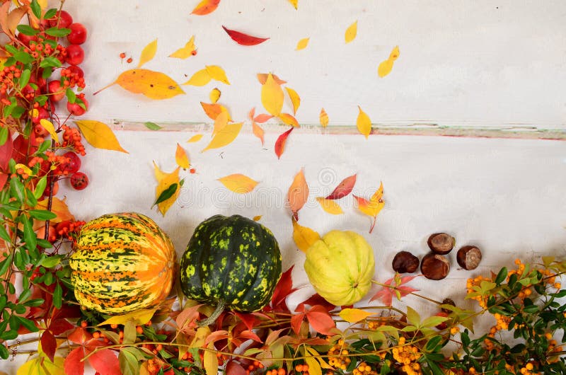 Bunter Herbstlaub und Früchte auf einem Hintergrund von alten Brettern stockfoto Bunter Herbstlaub und Früchte auf einem Hintergrund von alten Brettern stockfoto