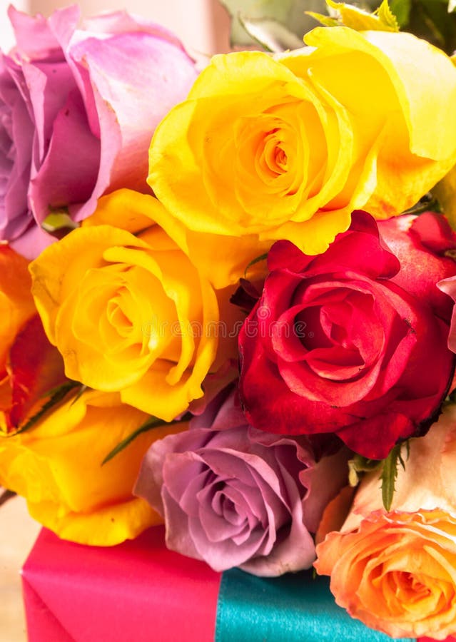 Bunter Hintergrund von frischen Rosen stockfoto Bunter Hintergrund von frischen Rosen stockfoto