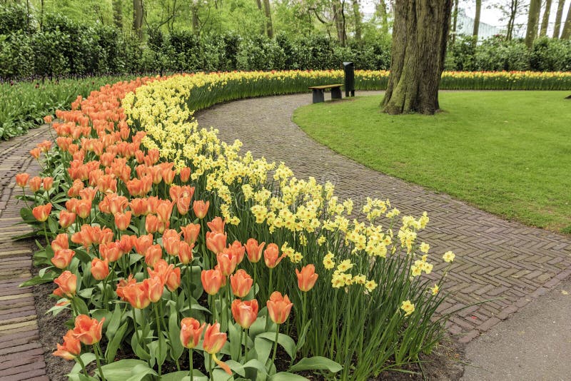 Buntes Tulpenbeet stockfotografie