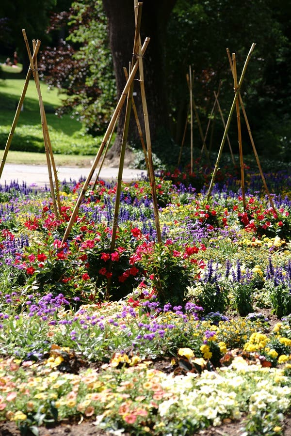GartenStangen stockfoto. Bild von jahreszeit, grün