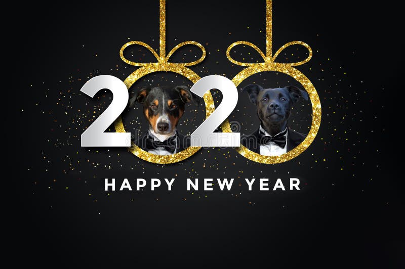 Buon anno 2020 con due cani illustrazione di stock Buon anno 2020 con due cani illustrazione di stock