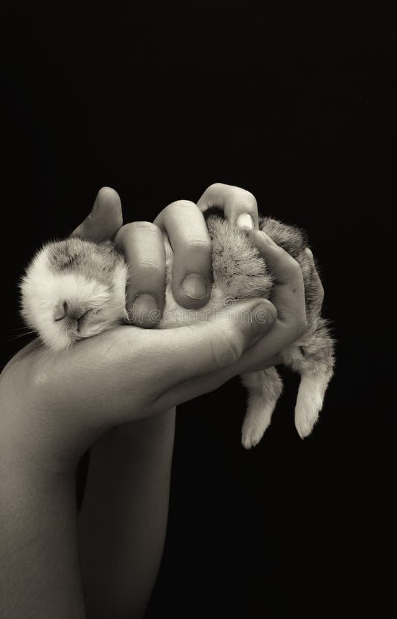 Buona notte Buona notte