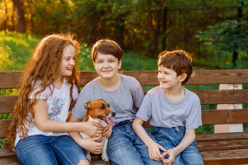 Buoni amici e cani riposano nel parco estivo immagini stock Buoni amici e cani riposano nel parco estivo immagini stock