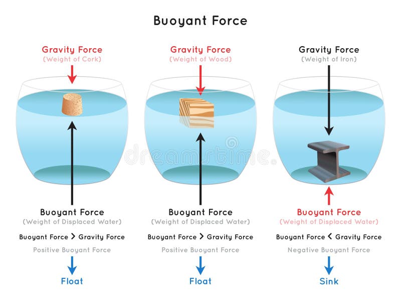 Buoyancy Force Stock Illustrations 103 Buoyancy Force Stock buoyancy-force-stock-illustrations-103-buoyancy-force-stock