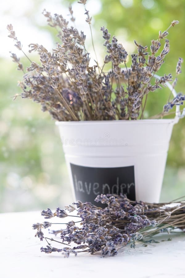 Buquê De Lavanda Seca Em Balde Branco Com Inscrição. Fundo Desfocado Natural.  Garrafas Com óleos Aromáticos Imagem de Stock - Imagem de vidro, decorado:  219011213