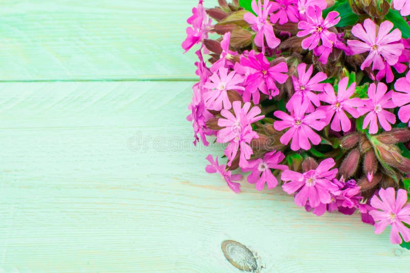 Buquê de flores cor-de-rosa sobre fundo verde
