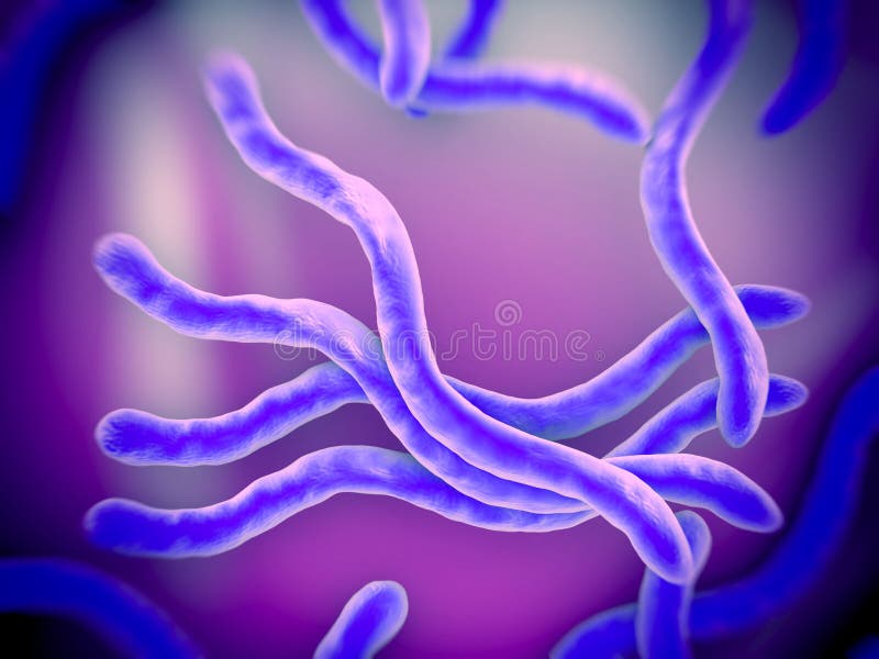 Burgdorferi del Borrelia libre illustration Burgdorferi del Borrelia libre illustration