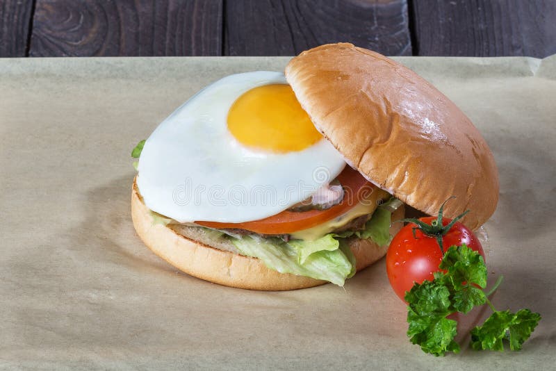 Burger with fried egg stock image. Image of grill, fries - 108552653