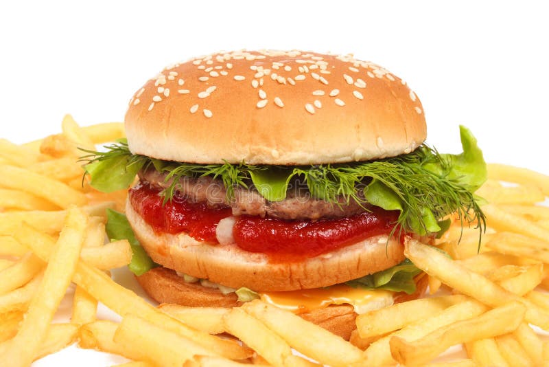 Burger and fries stock photography