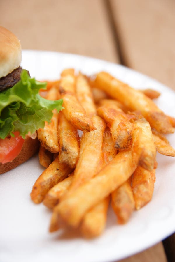 Burger and Fries stock photography
