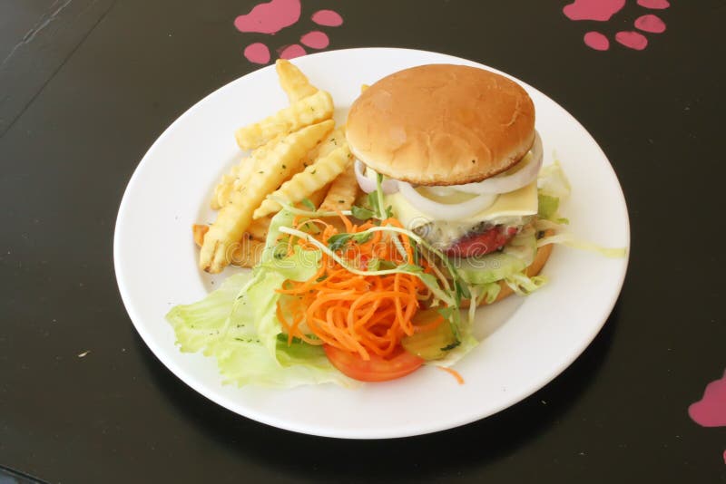 Burger and Fries on a Plate royalty free stock photography