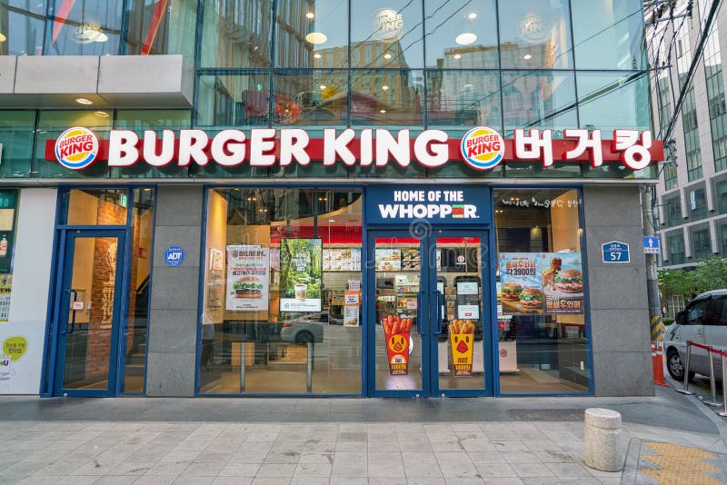 angry birds go burger king download free angry birds go burger king download free