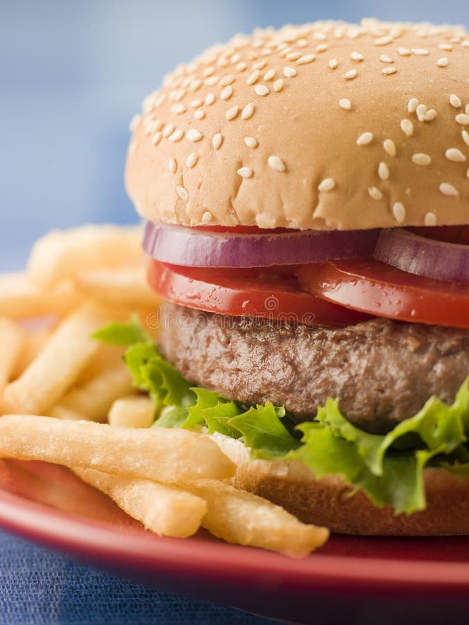 Burger κουλουριών βόειου κρέατος σουσάμι σπόρου τηγανητών στοκ φωτογραφίες
