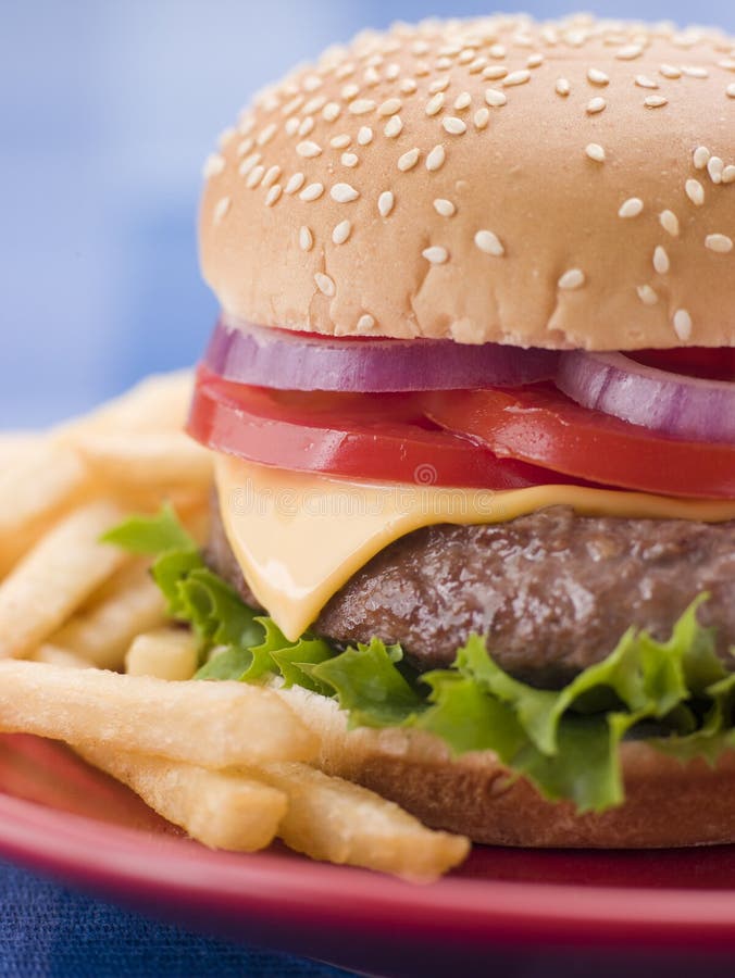 Burger κουλουριών σουσάμι σπόρου τηγανητών τυριών στοκ φωτογραφία με δικαίωμα ελεύθερης χρήσης