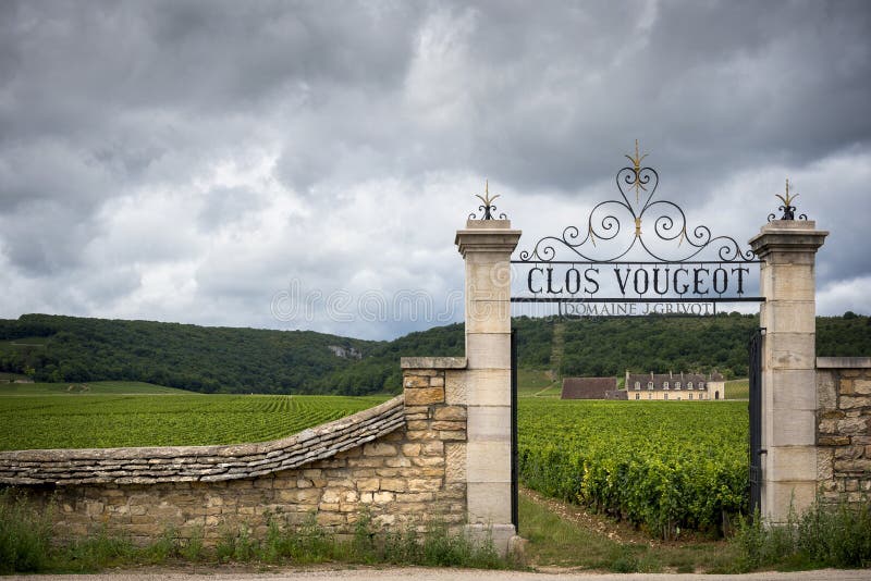 Burgundy, Clos De Vougeot Francja Teraźniejszość na terenie wokoło 50 hektarów, Clos De Vougeot jest Uroczystym Cru appellation fotografia royalty free Burgundy, Clos De Vougeot Francja Teraźniejszość na terenie wokoło 50 hektarów, Clos De Vougeot jest Uroczystym Cru appellation fotografia royalty free